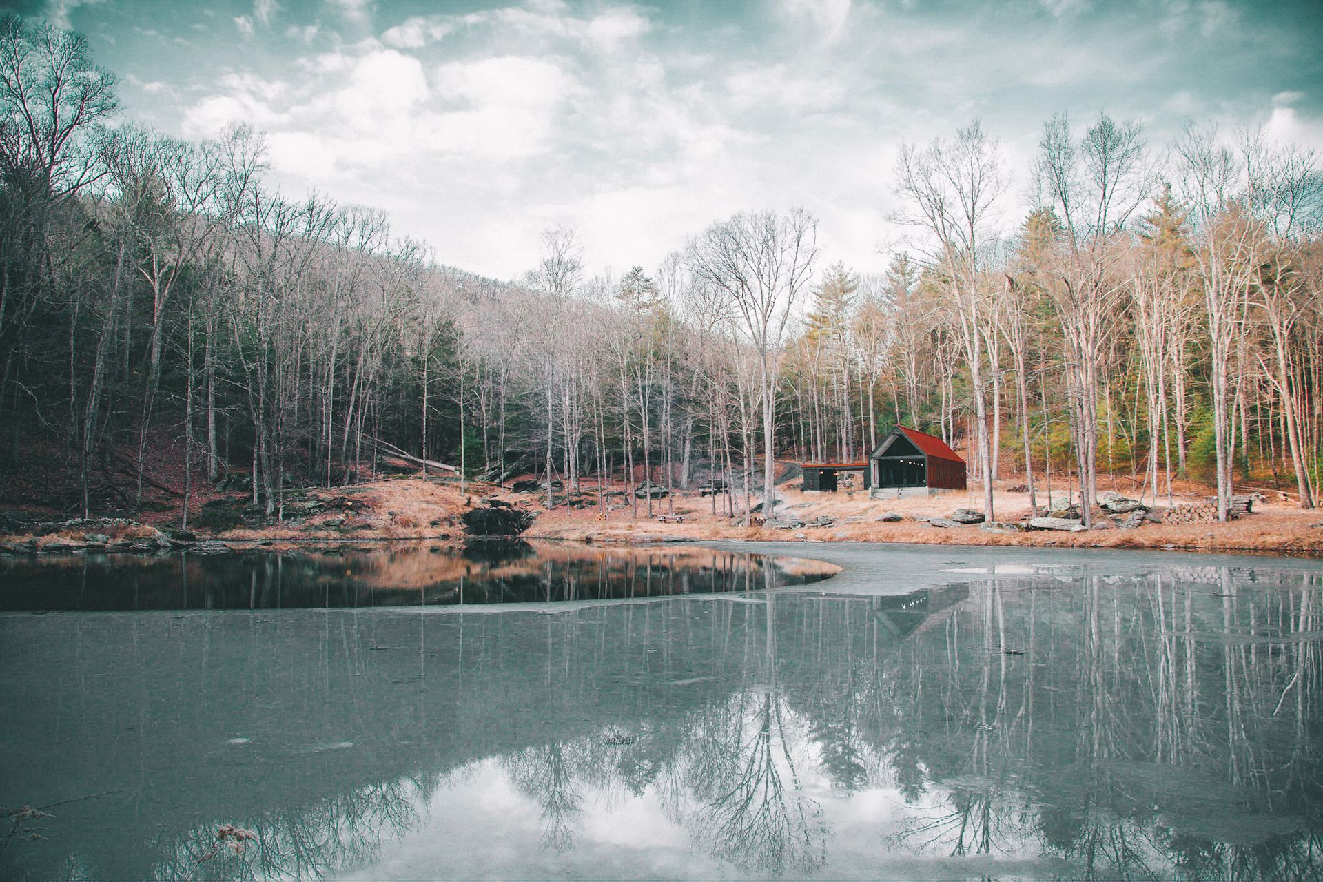 A small pond surrounded by trees and grass with a house in the background.
