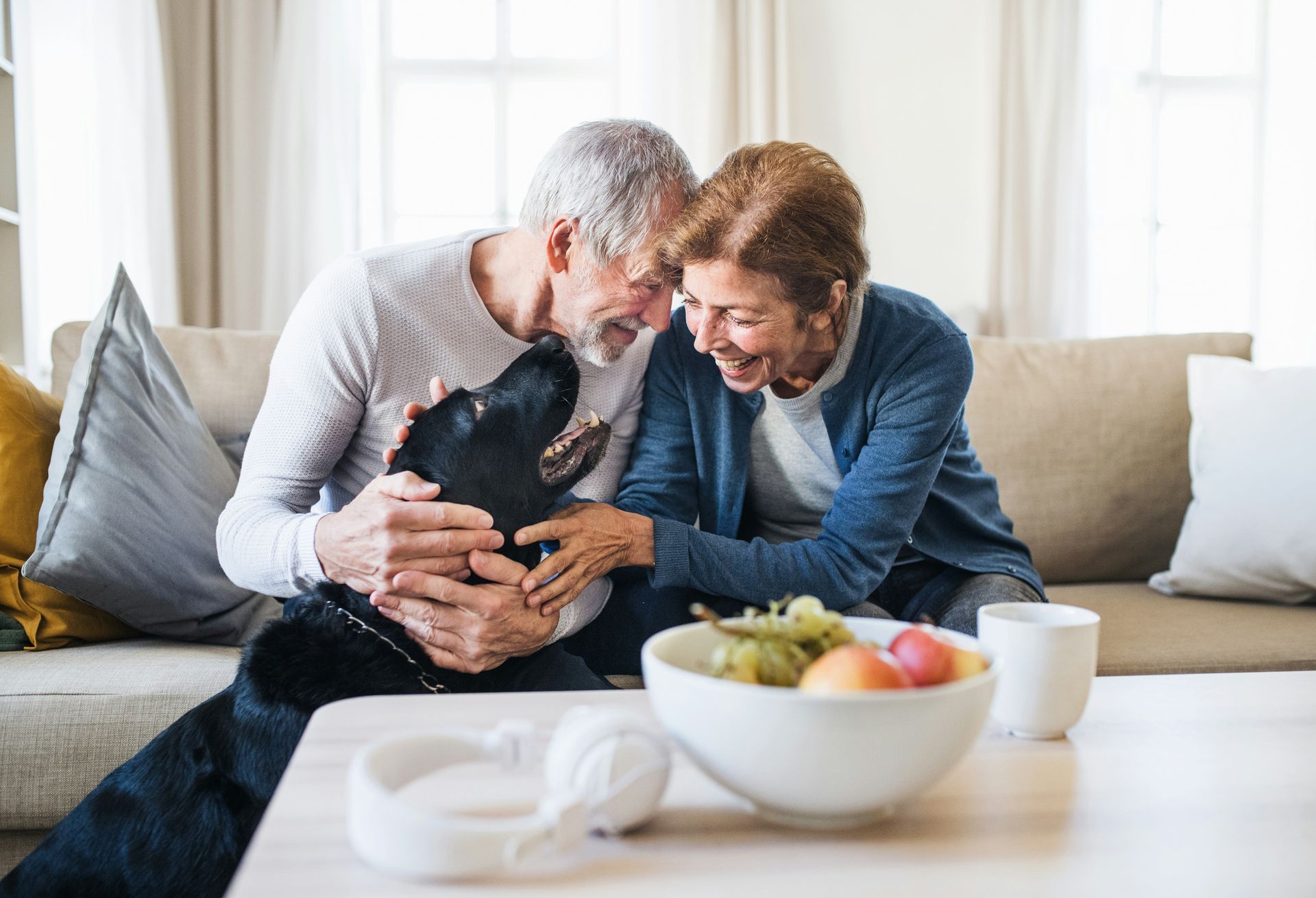Elderly couple laughing on a couch, petting a black dog in a bright living room.