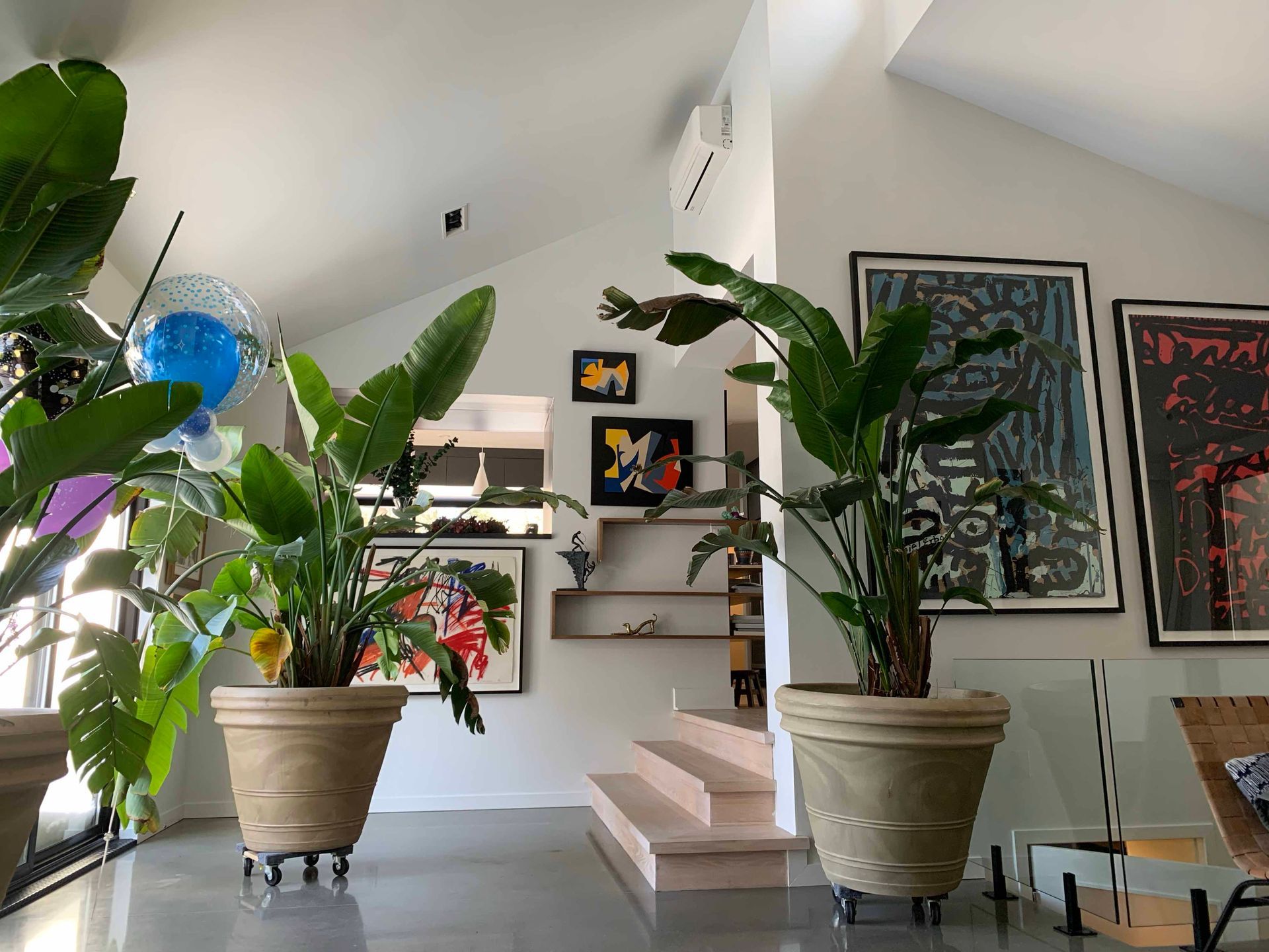 Un salon rempli de plantes en pot et d'escaliers