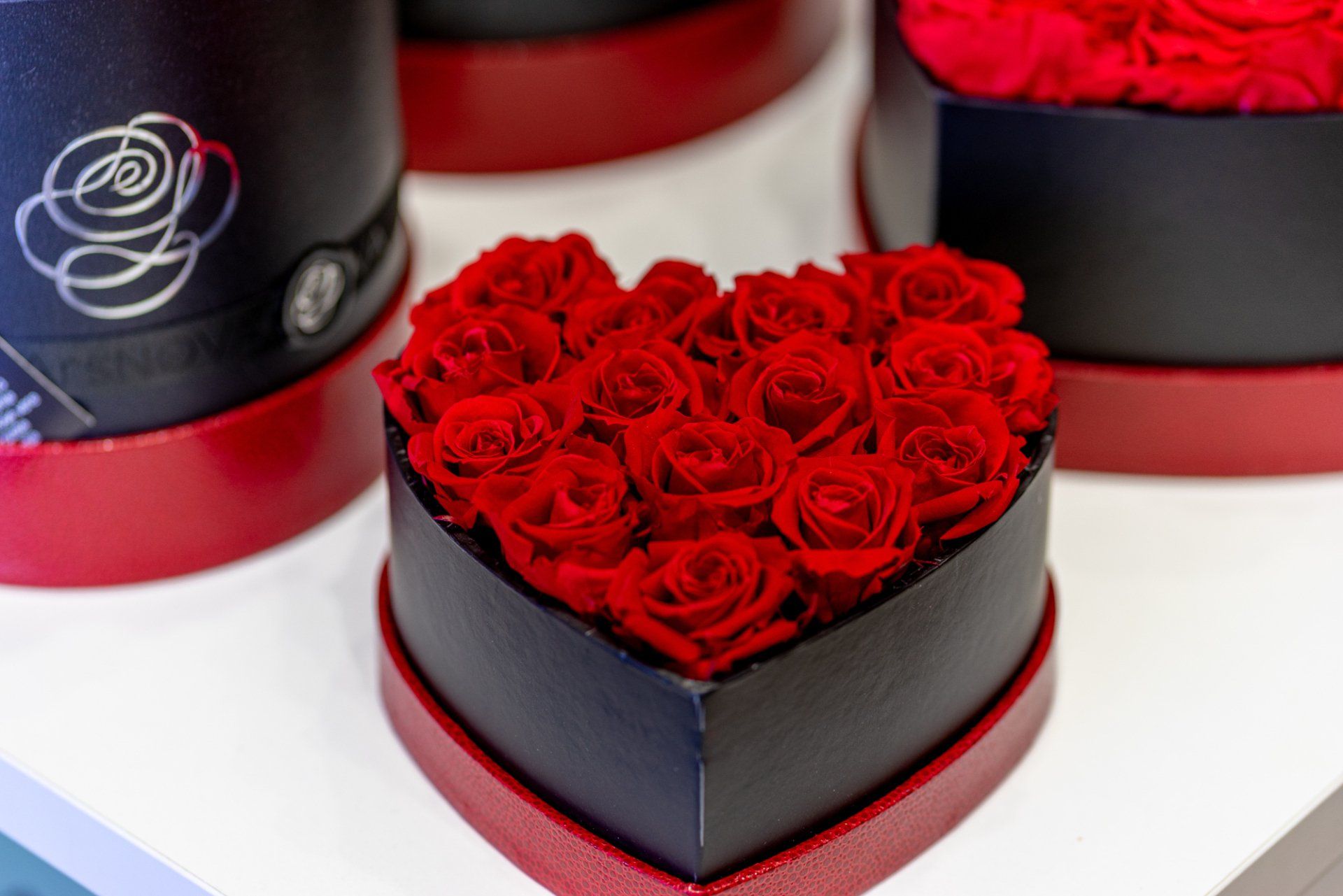 rose in box