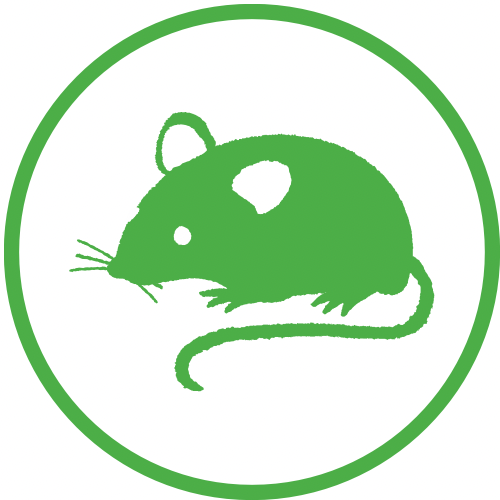 mouse icon
