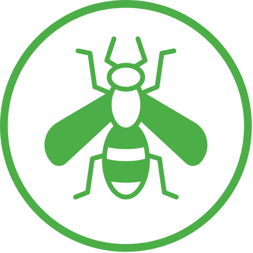 wasp icon