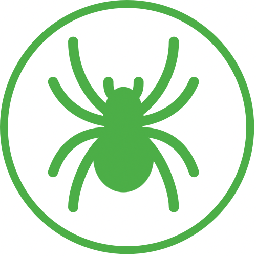 spider icon
