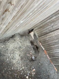 pest erosion