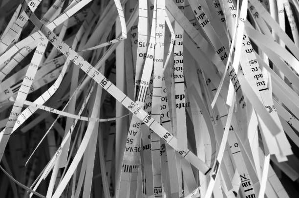 View of Shredded Documents | Indianapolis, IN - Eco Shred