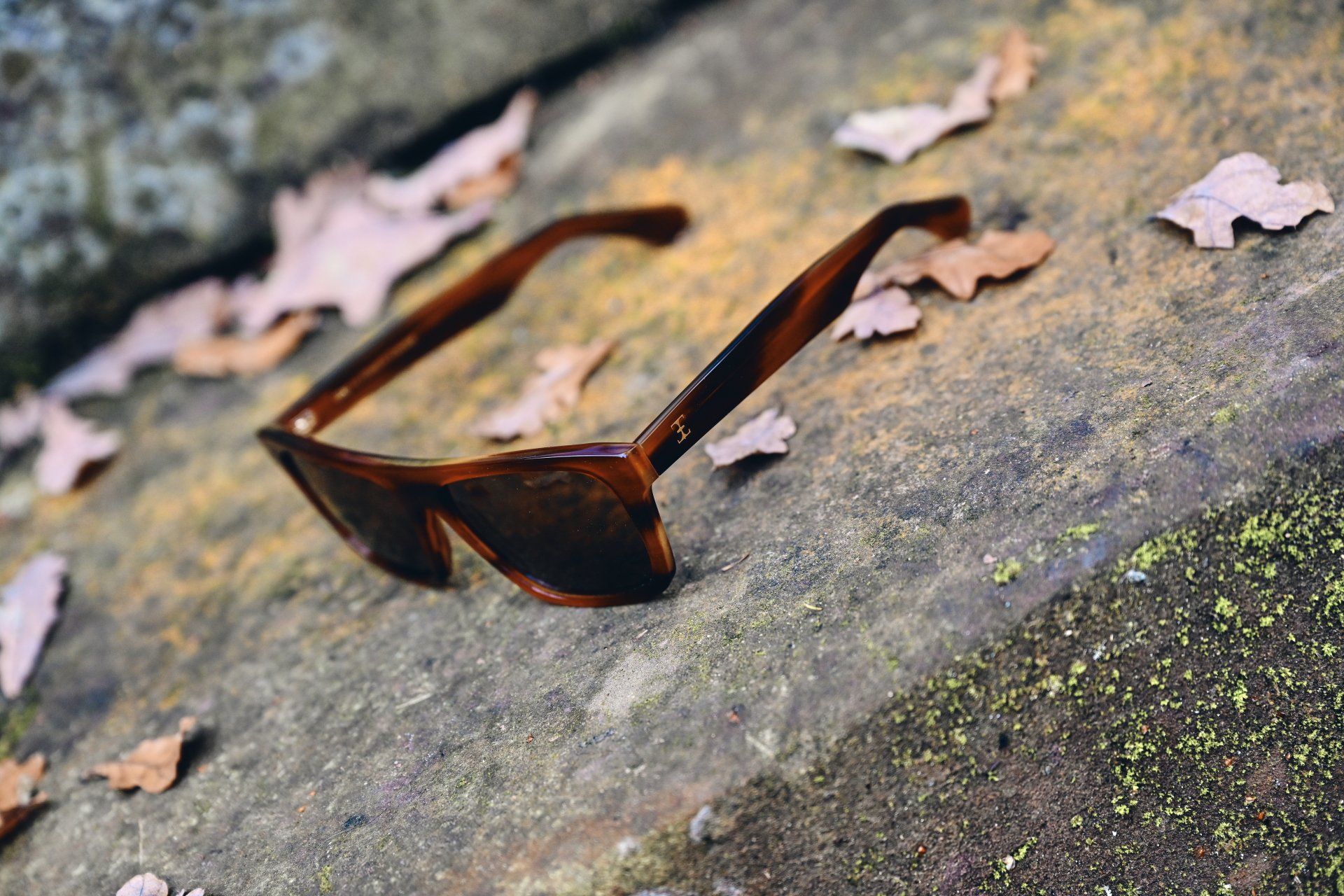 Brown sunglasses on a stone surface, surrounded by fallen leaves.