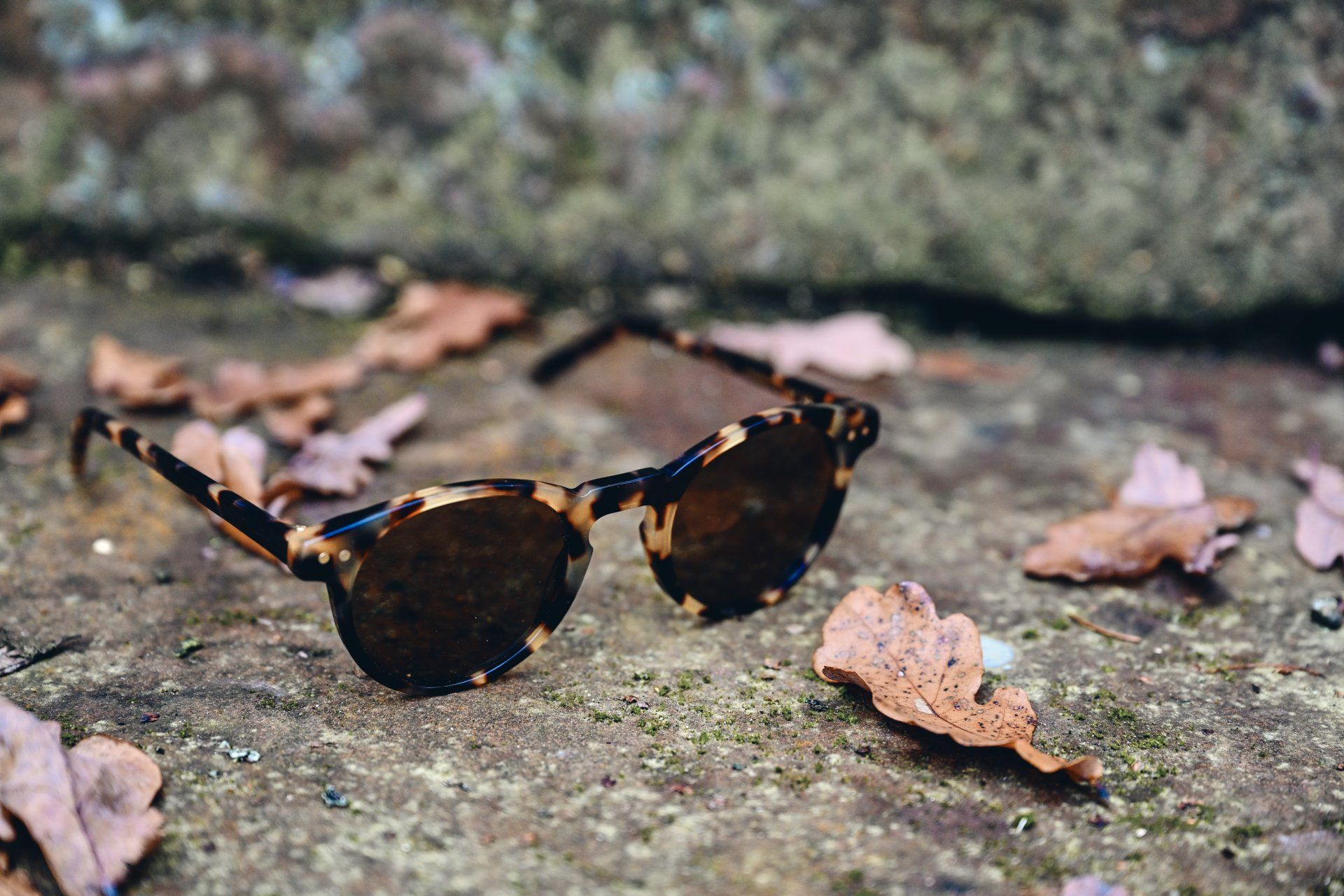 Tortoiseshell sunglasses rest on a stone surface amid fallen brown leaves.