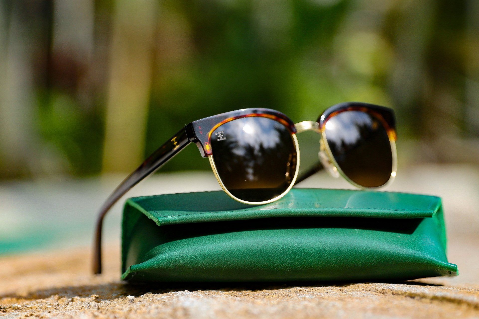 Sunglasses with tortoiseshell frames and gold accents rest on a green case outdoors.
