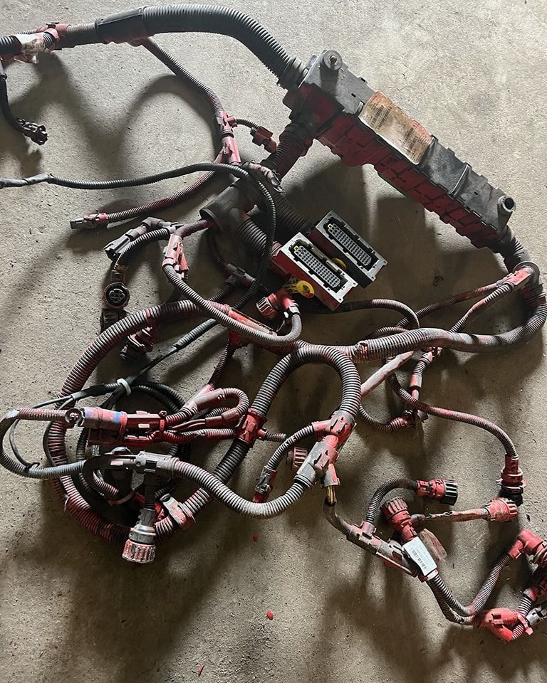 A bunch of wires are laying on the ground.