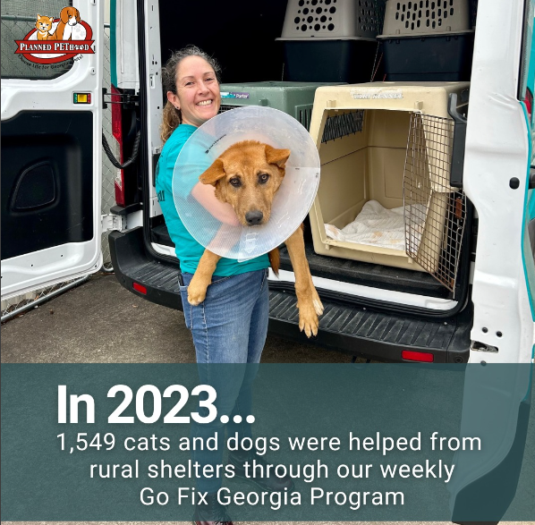 Woman holds dog wearing a cone, in front of a van, with text: