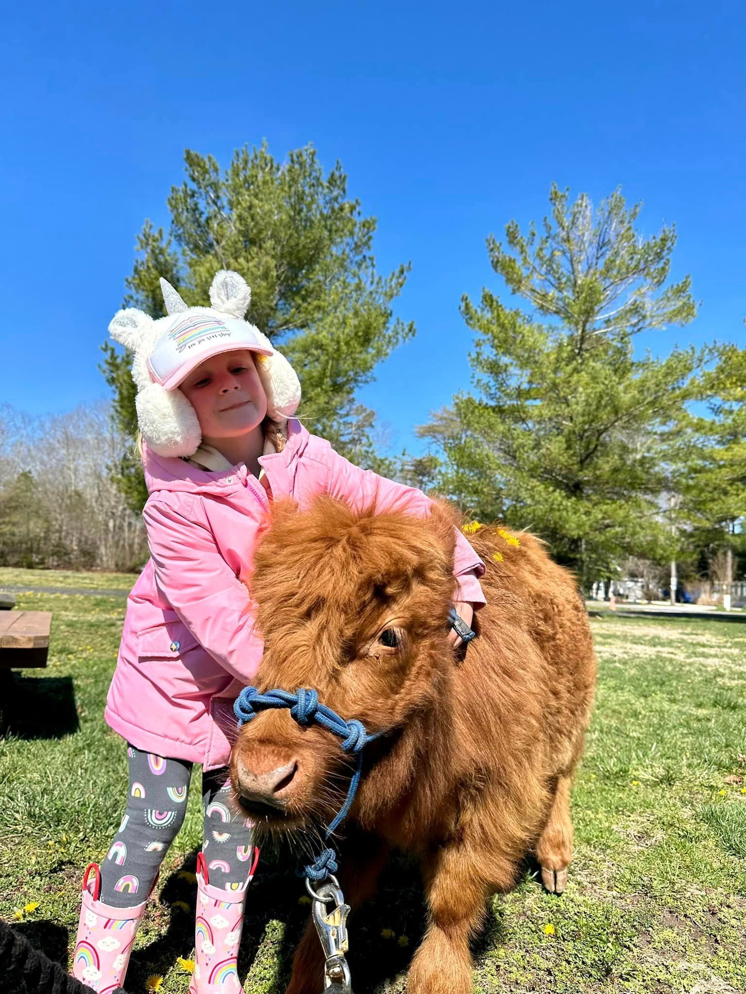 Child in a pink coat petting a fluffy brown pony outdoors under a blue sky