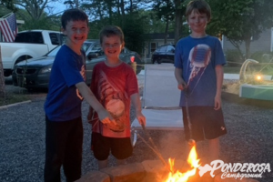 Three children smiling beside a campfire at dusk, one roasting a marshmallow in a backyard.