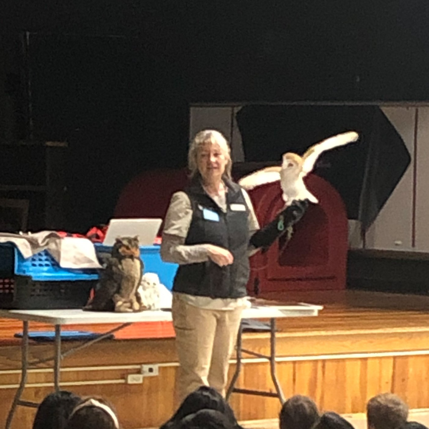 Woman holding a white owl with outstretched wings, speaking at a presentation, with other birds nearby.