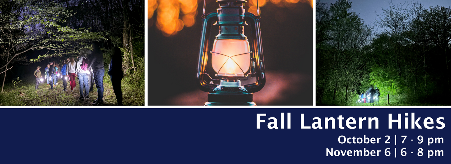 Three fall lantern hike scenes with glowing lanterns and night woods, titled “Fall Lantern Hikes.” Event date and times are October 2 from 7 -9 pm and November 6 from 6 - 8 pm.
