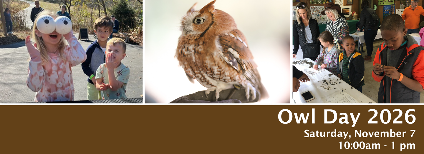 Owl Day 2026 banner with owl photos and people at a wildlife event, November 7, 10 a.m.