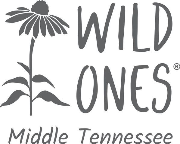 Logo for Wild Ones Middle Tennessee: stylized gray coneflower and text.
