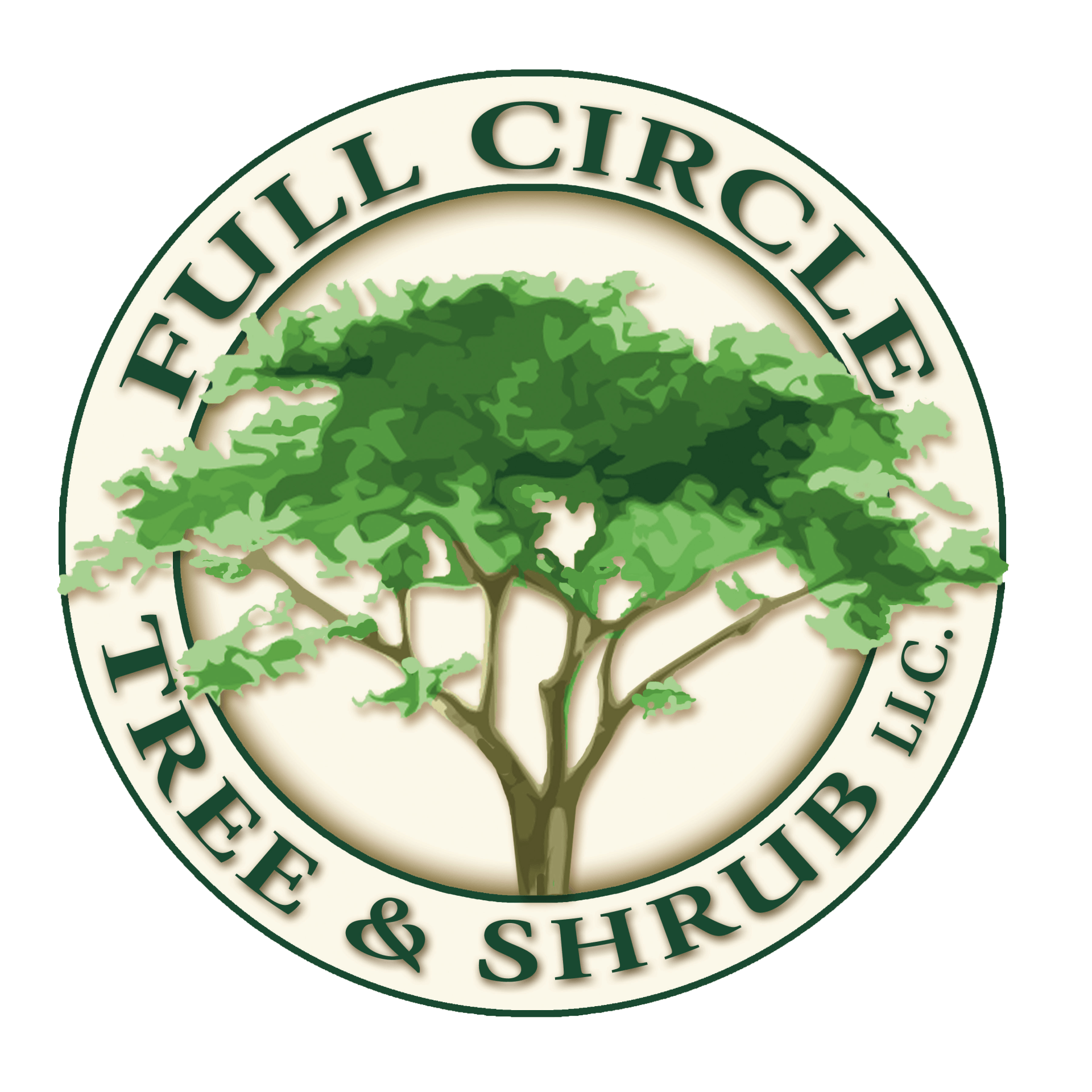 A logo with a green tree illustration inside a cream circle, with