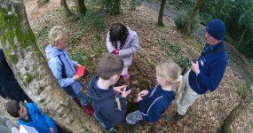 Children and an adult gather around something on the ground in a forest, looking down with curiosity.