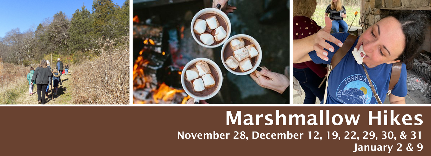 Marshmallow Hikes event collage with hikers, mugs of hot cocoa, and a child roasting marshmallows by a fire. Hike dates are November 28, December 12, 19, 20, 29, 30, January 2 and 9.