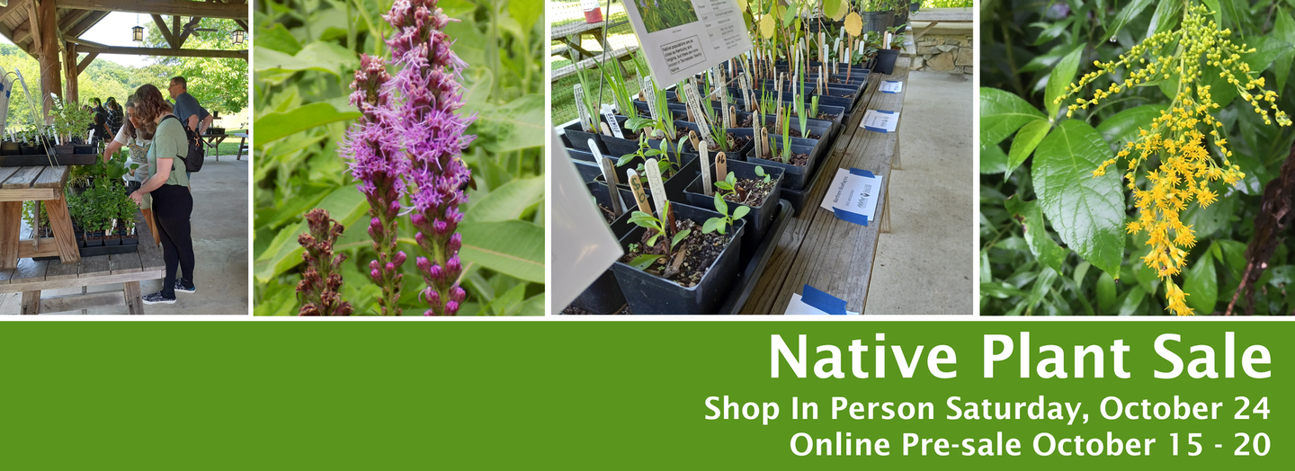 Native plant sale banner with four plant photos and text promoting the event on Saturday, October 24 with online presale dates (October 15 - 20).
