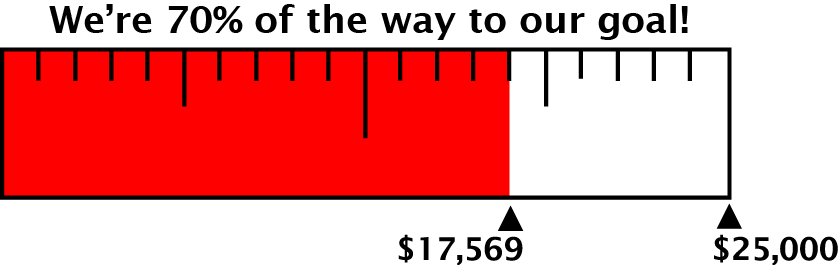 A progress bar showing 70% completion towards a $25,000 goal, with $17,569 raised.