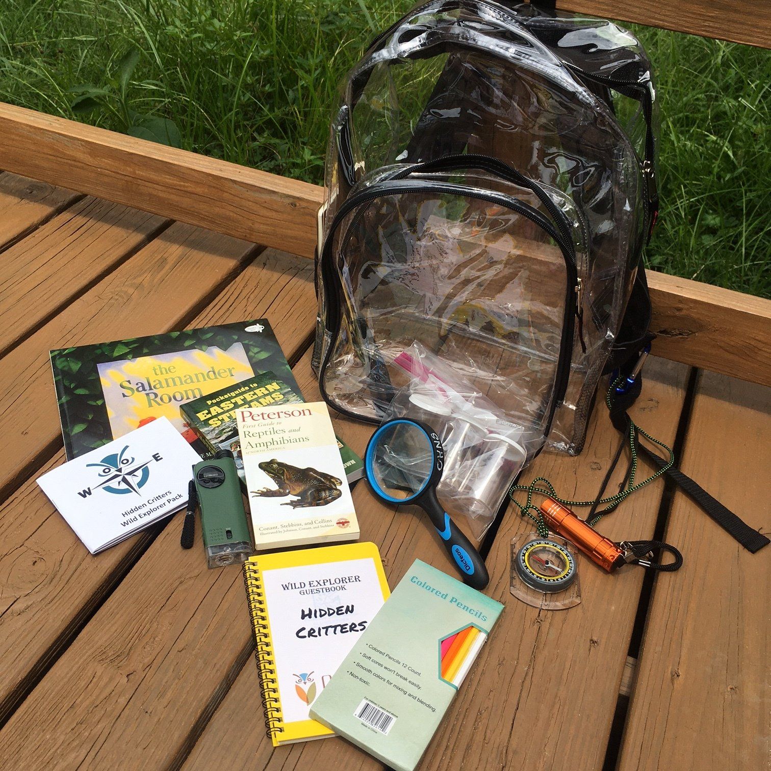 A clear backpack filled with field guide books, compass, magnifying glass, and other outdoor tools on a wooden deck.