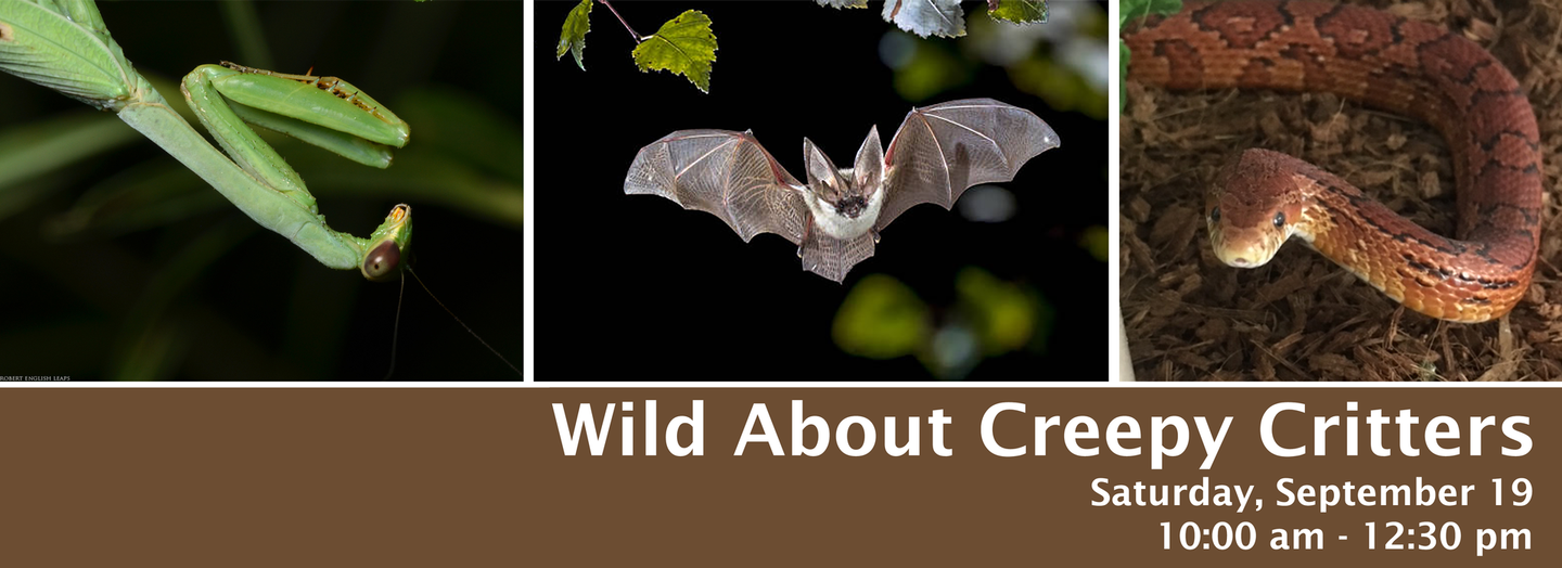 Wild About Creepy Critters event banner with green snake, bat, and brown snake on a dark background. Event date is September 19 and event time is 10 am.