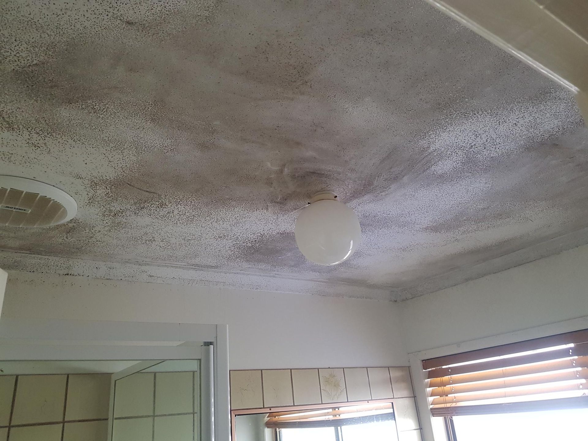 Moldy, water-stained ceiling in a room with a hanging light and window blinds