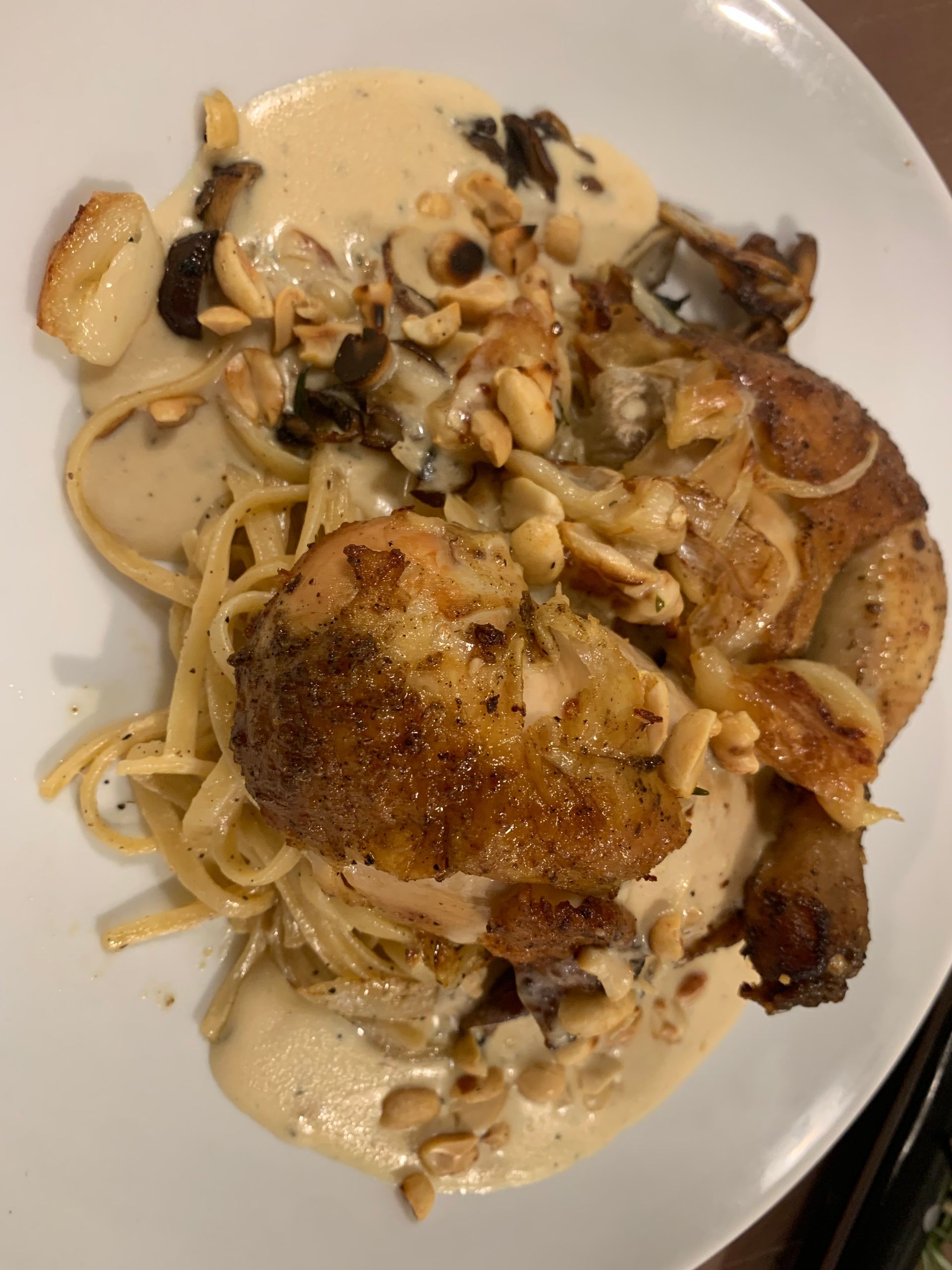 Plate of pasta with browned chicken and mushrooms in a creamy sauce