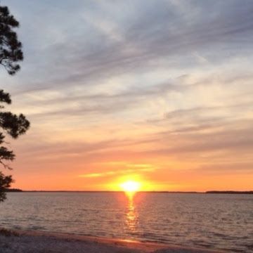 Sunset over calm water with orange reflection and silhouetted trees along the shore