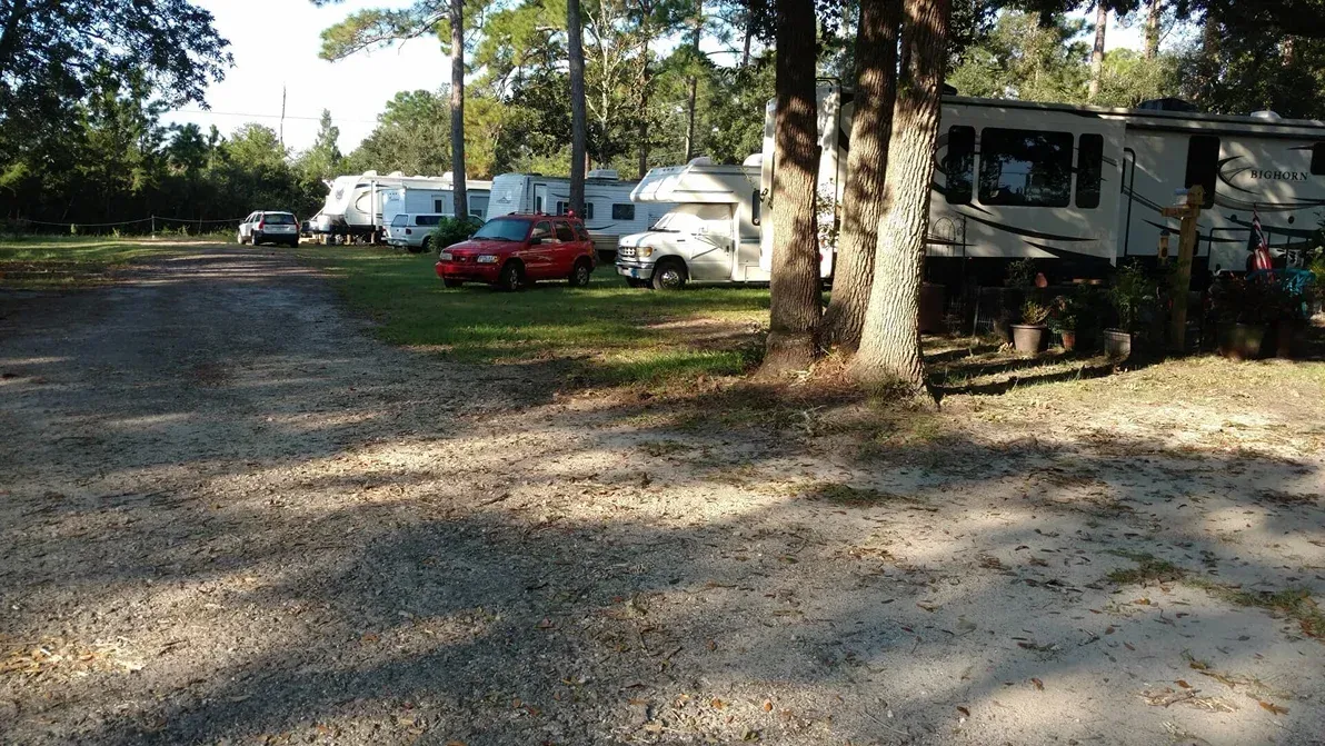 Gravel campground with parked RVs, a red car, and tall trees in daylight.