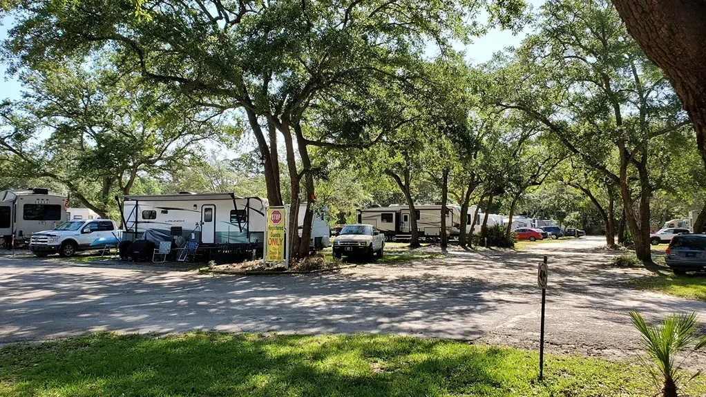 Shaded parking area with several RVs and cars under large trees on a sunny day