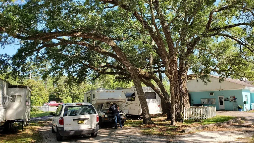 Tree-shaded residential yard with parked cars, a white RV, and a light blue house in the background