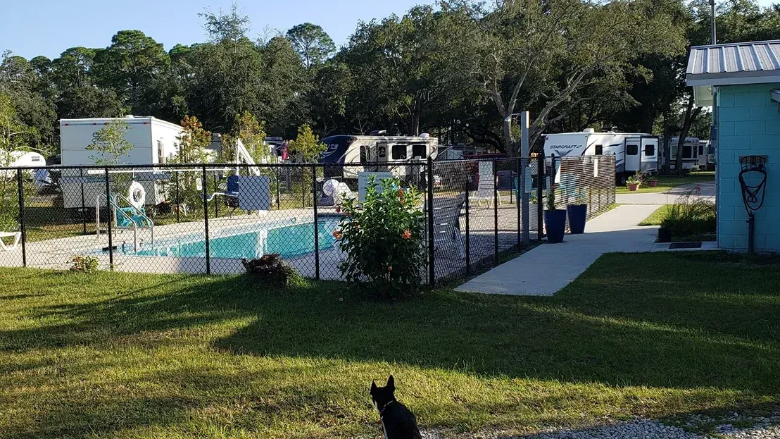 Outdoor pool area with a black cat in the foreground, fenced RV park, and a blue building on the right