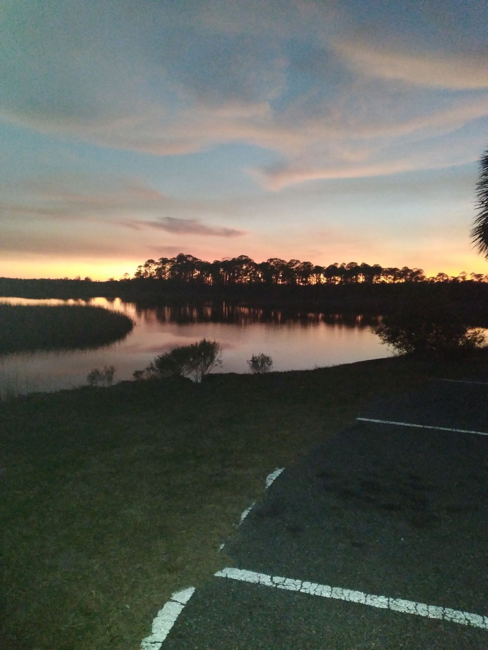 Dusk over a calm lake with silhouetted trees and a grassy shoreline under a pastel sky.