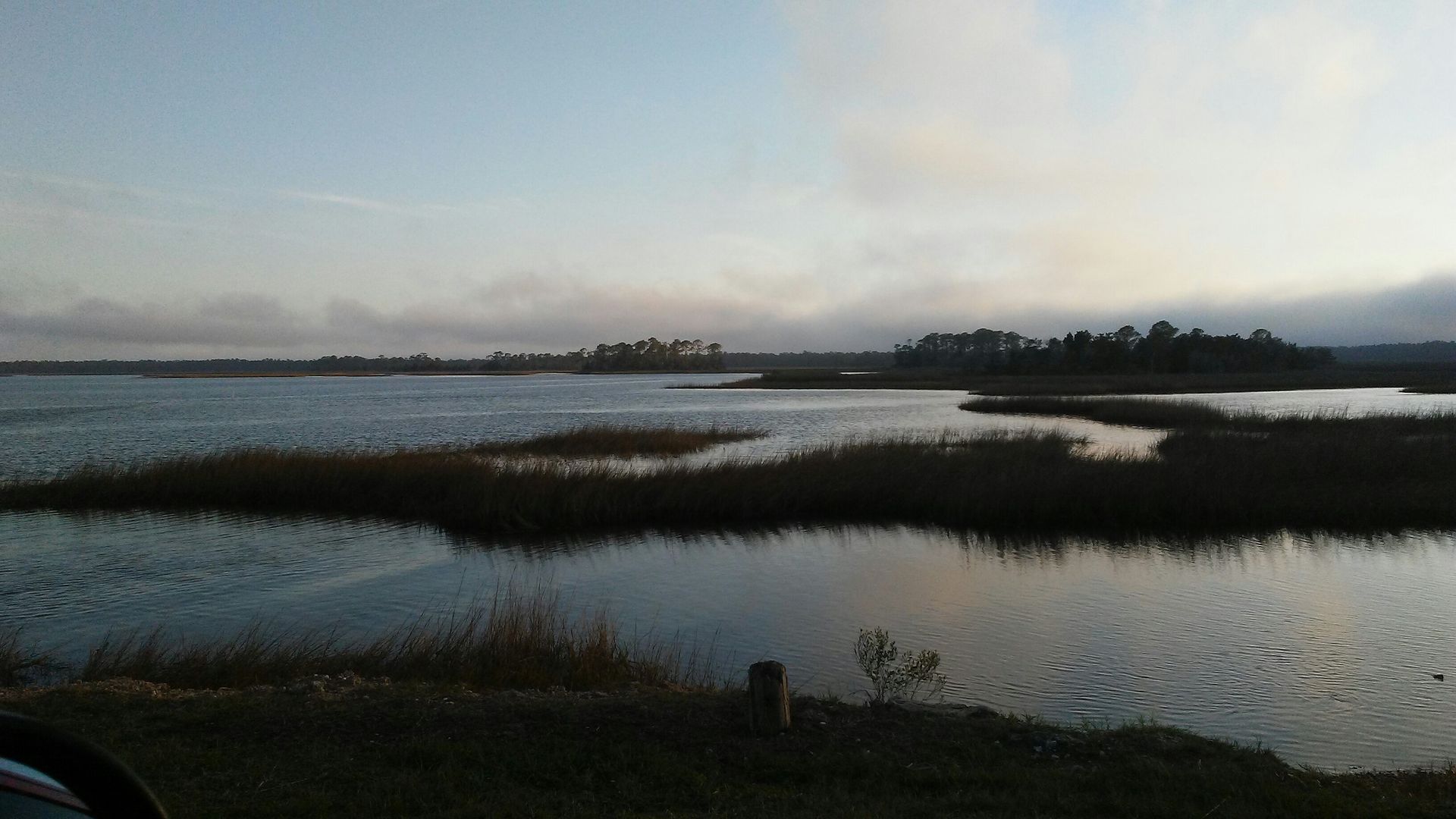 Calm marshland at dusk with reflective water and dark reeds under a cloudy sky