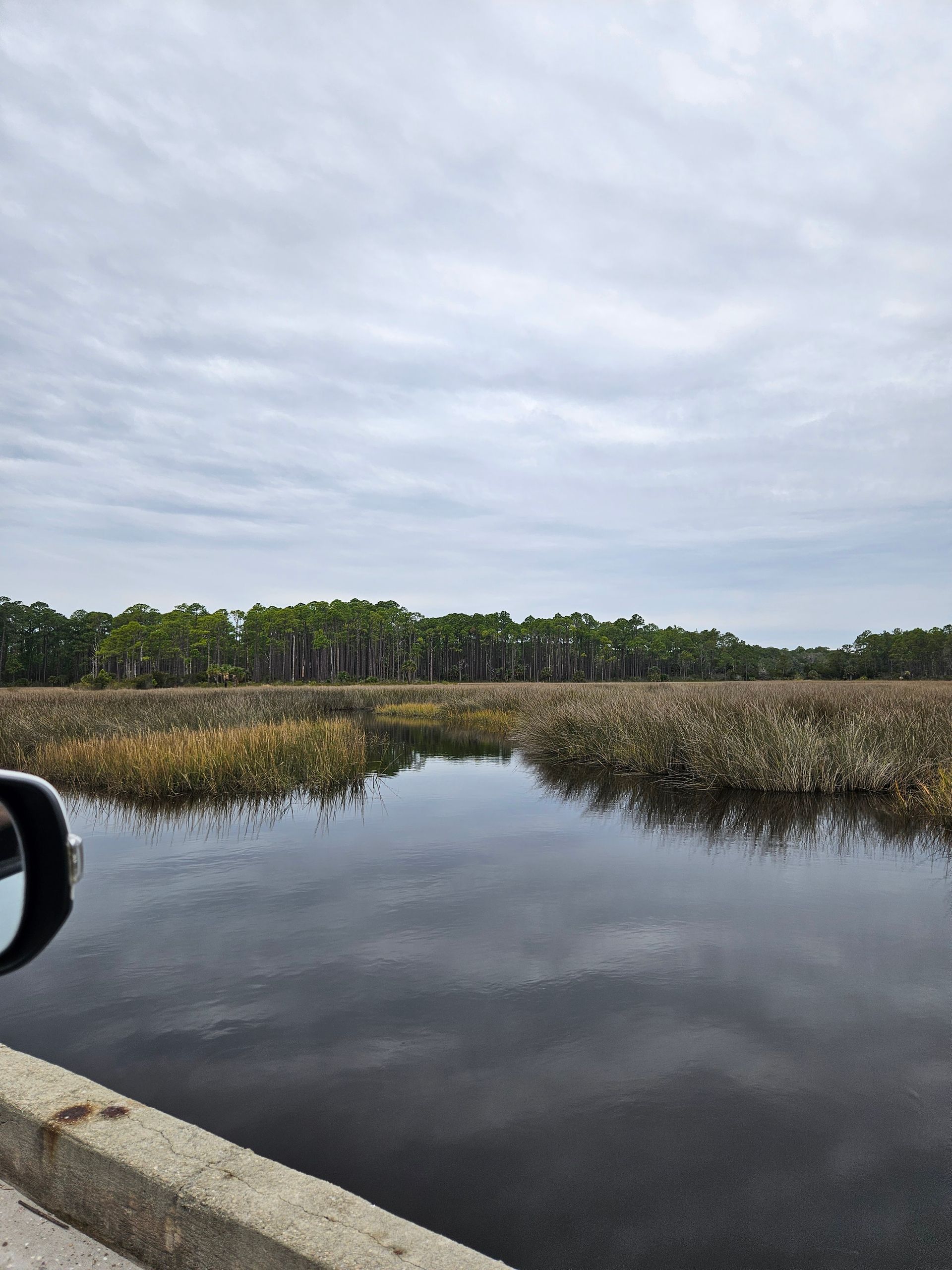 Flooded roadside beside a marsh under cloudy skies, with trees in the distance.