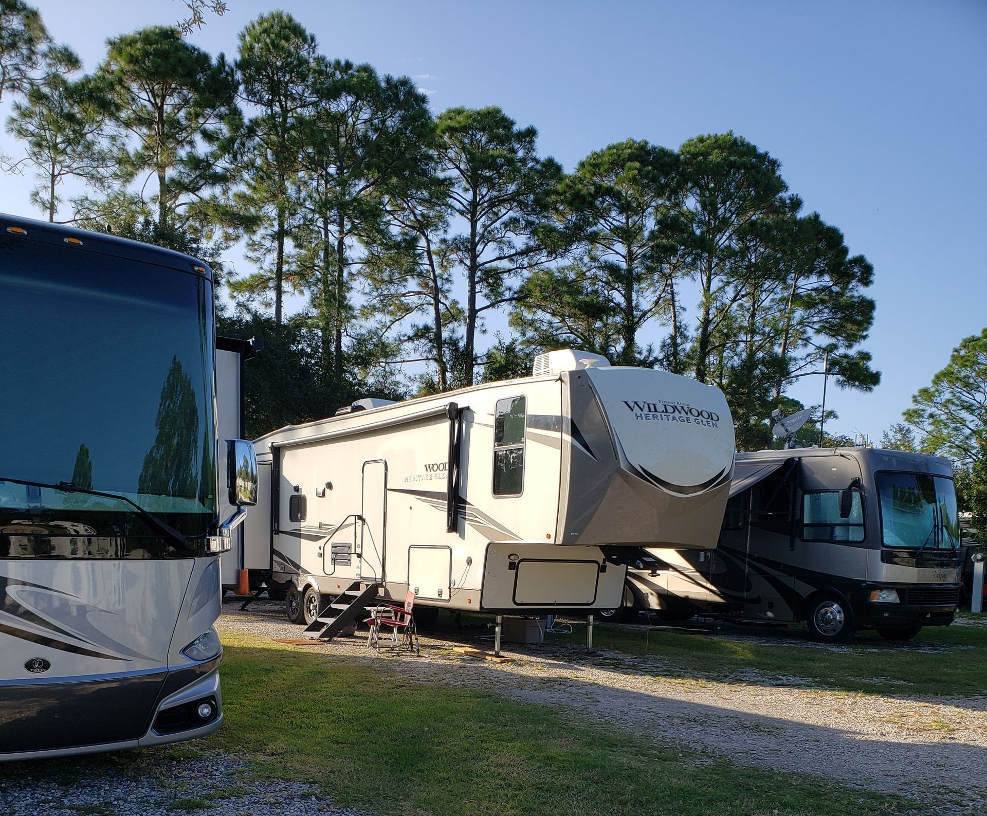 RV campers parked on a grassy lot beneath tall trees on a sunny day.
