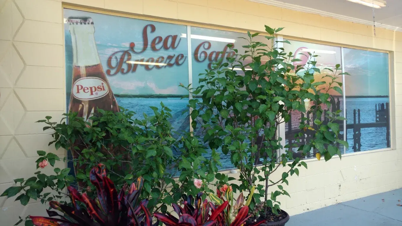 Sea Breeze Cafe sign behind lush potted plants by a beige wall and window