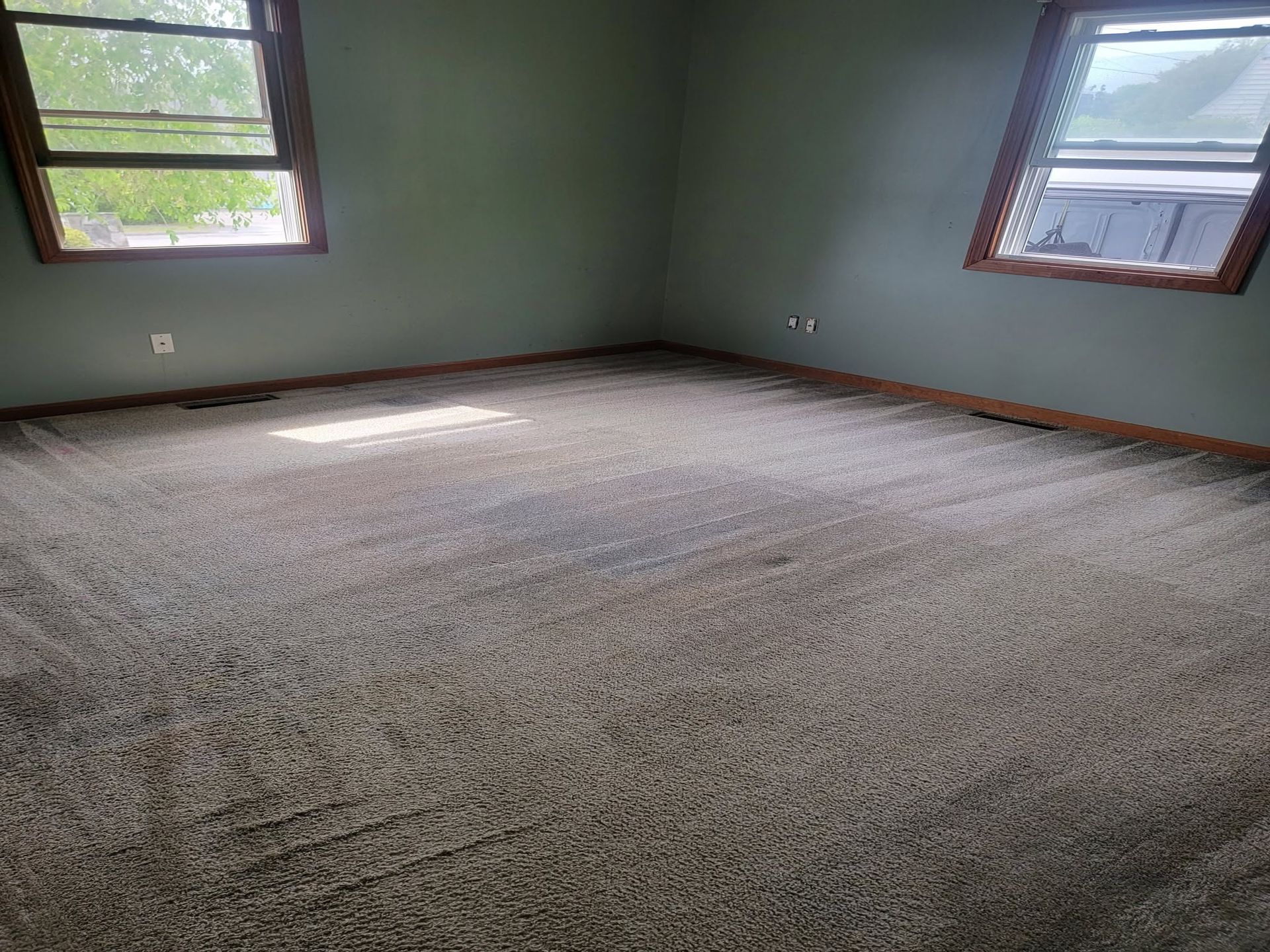 Empty carpeted room with green walls and two windows letting in daylight.