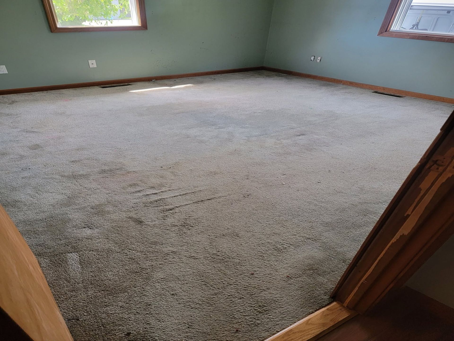 Empty carpeted room with green walls, a window, and an open doorway.