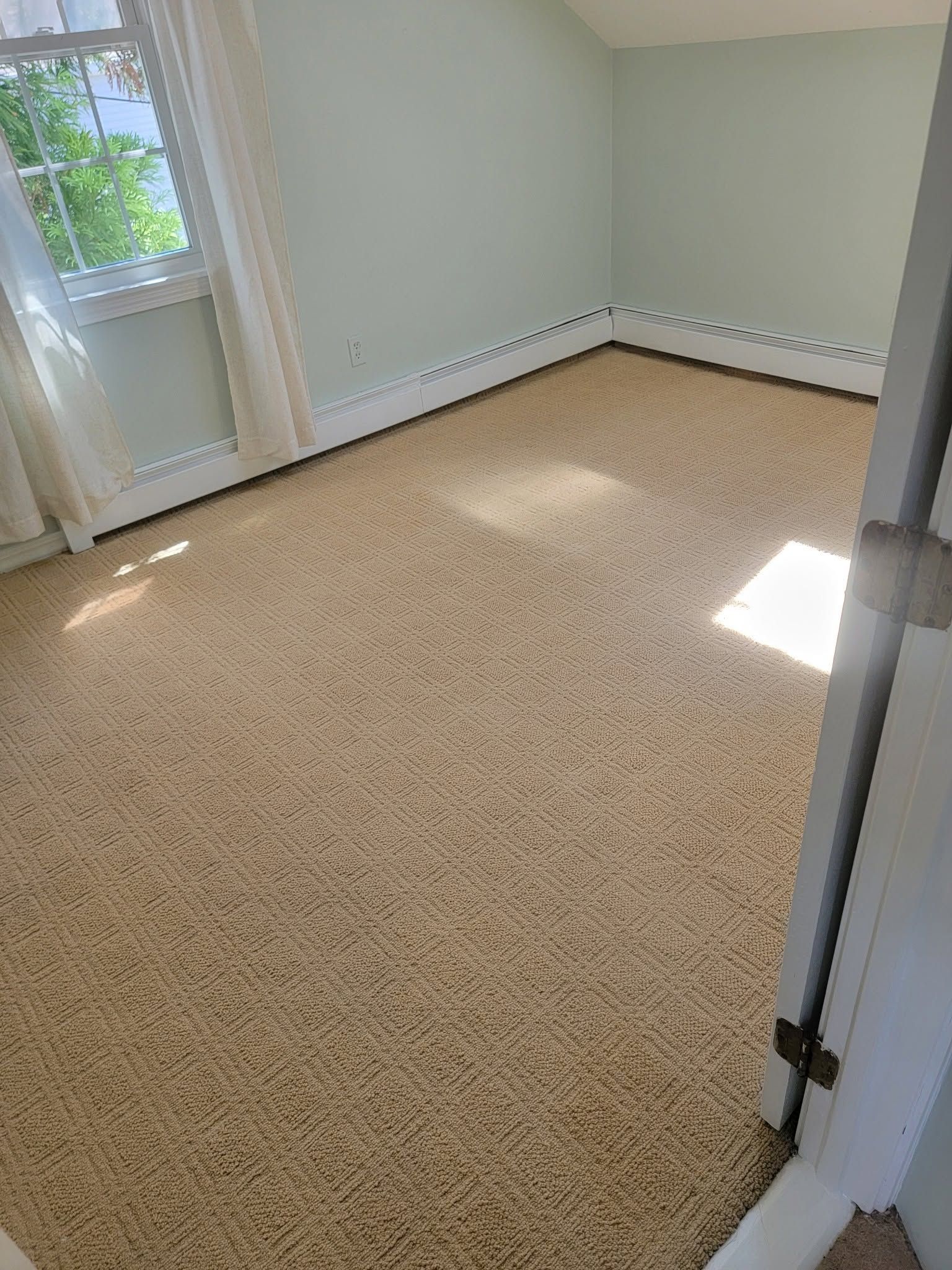 Empty carpeted room with pale green walls, white trim, and a window letting in sunlight.
