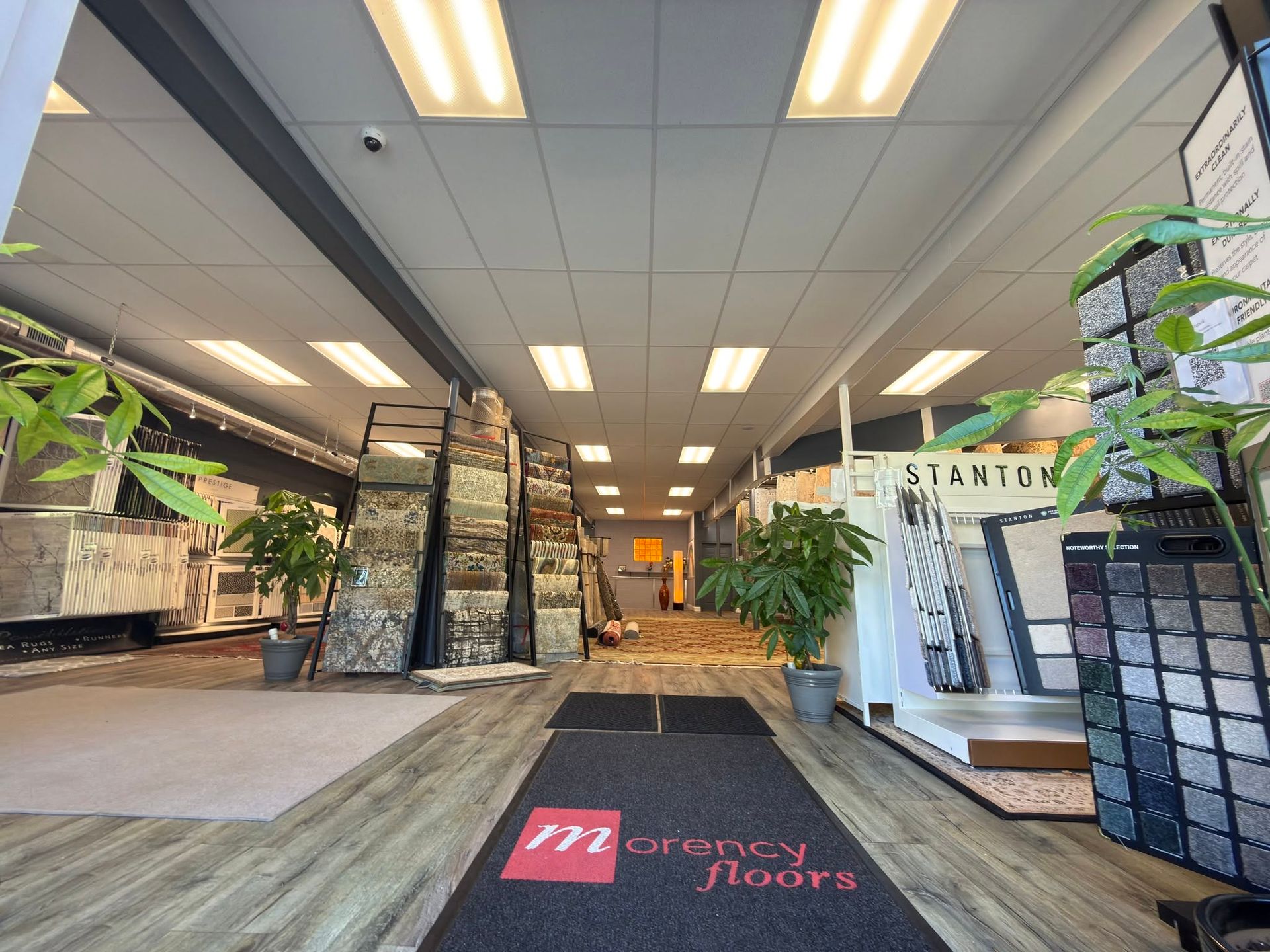 Office lobby with glass doors, plants, and a black carpet leading to a bright hallway.