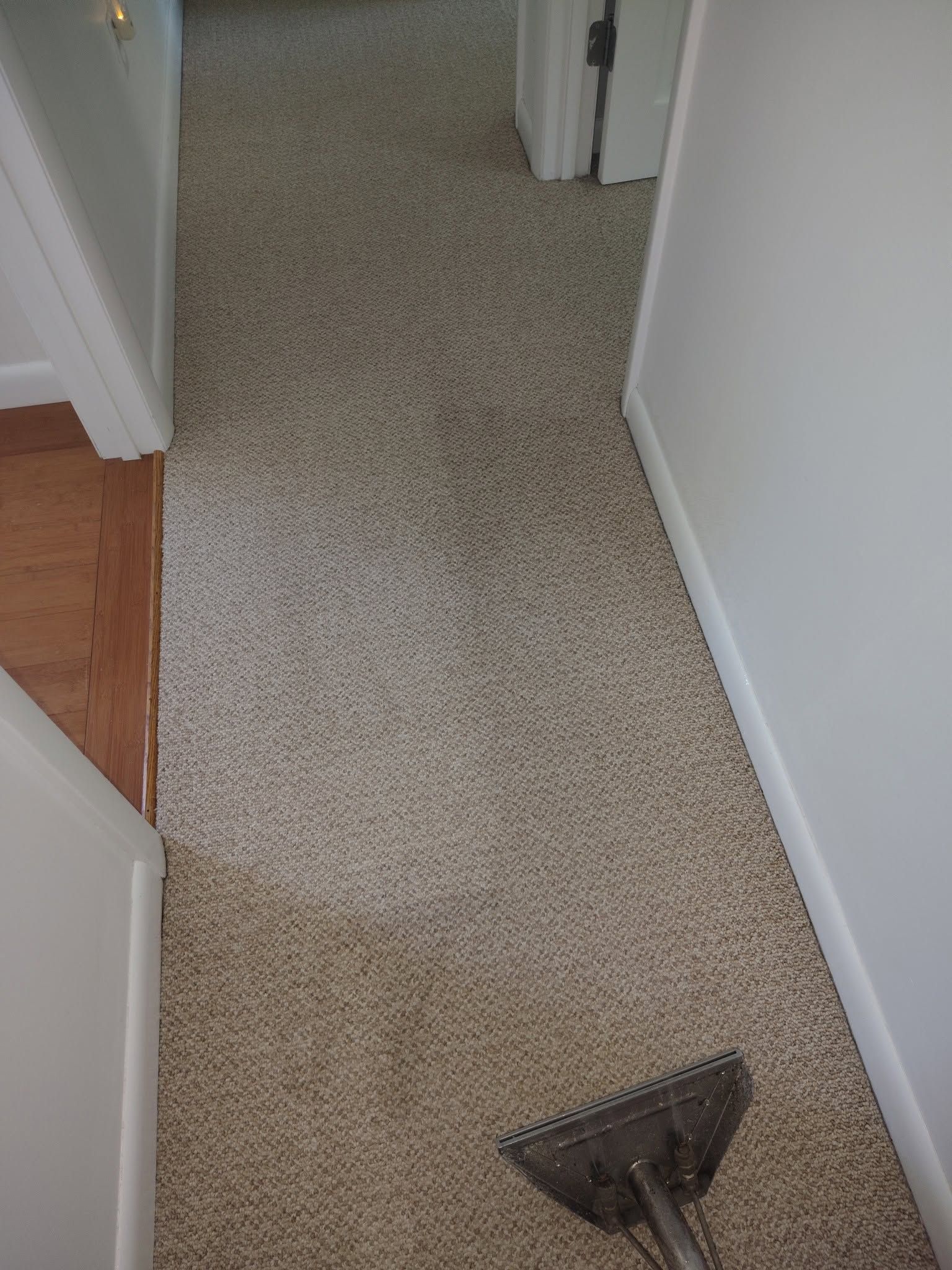 Hallway with beige carpet, white walls, and a dustpan on the floor in the foreground