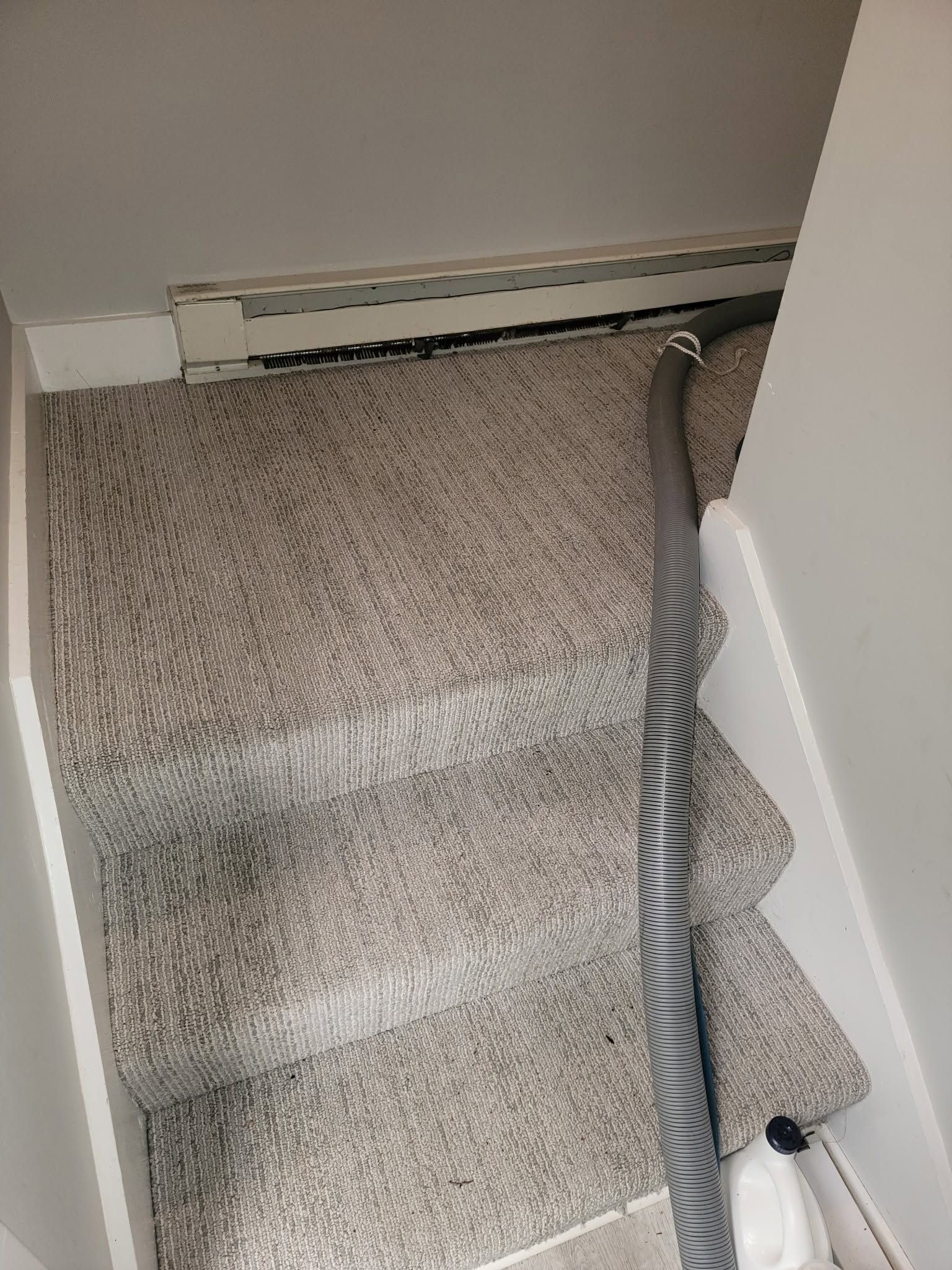 Carpeted stairs with a gray striped vacuum hose along the right side near the wall.