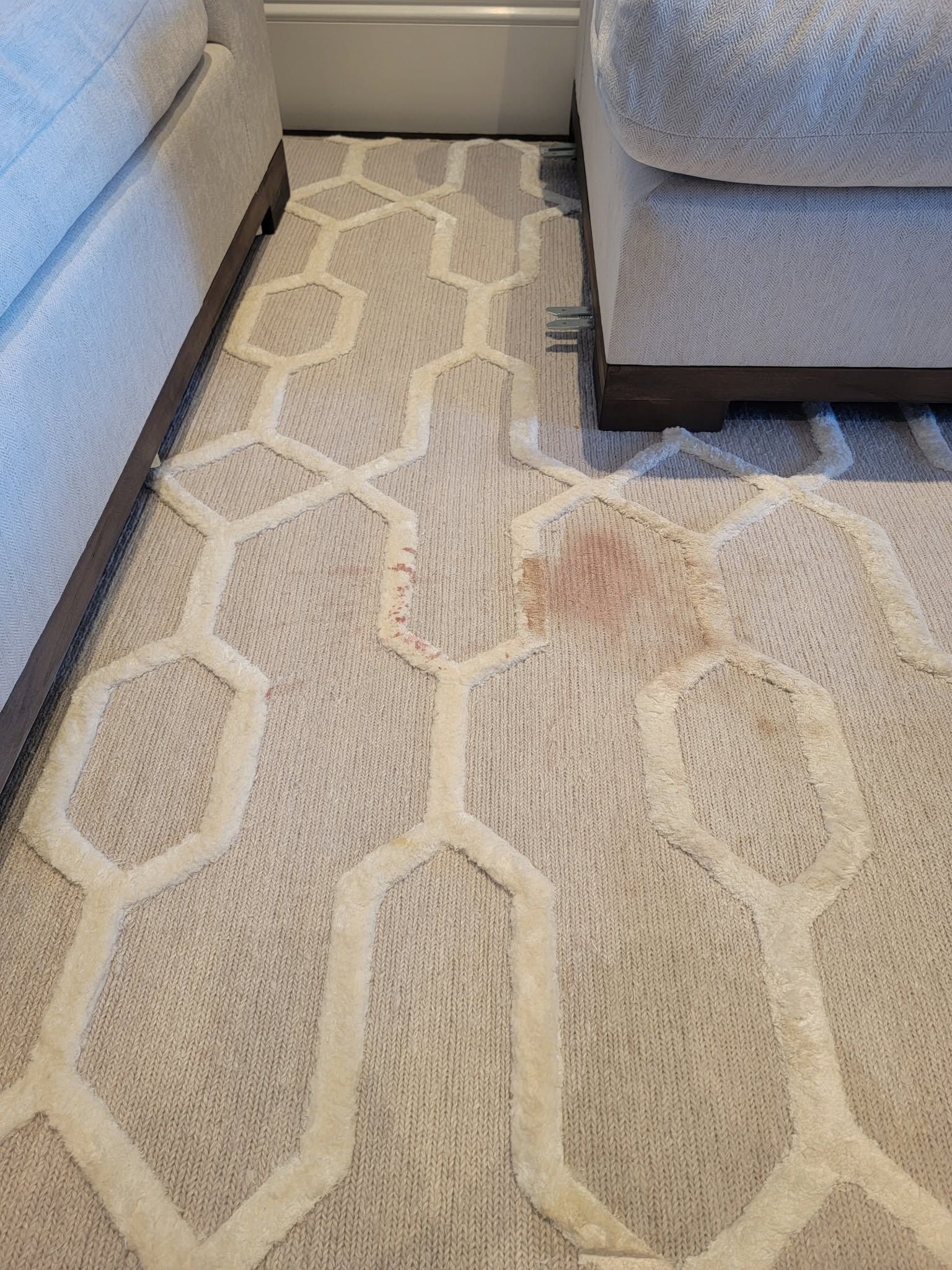 Close-up of beige patterned area rug beside a gray sofa and dark wood furniture.