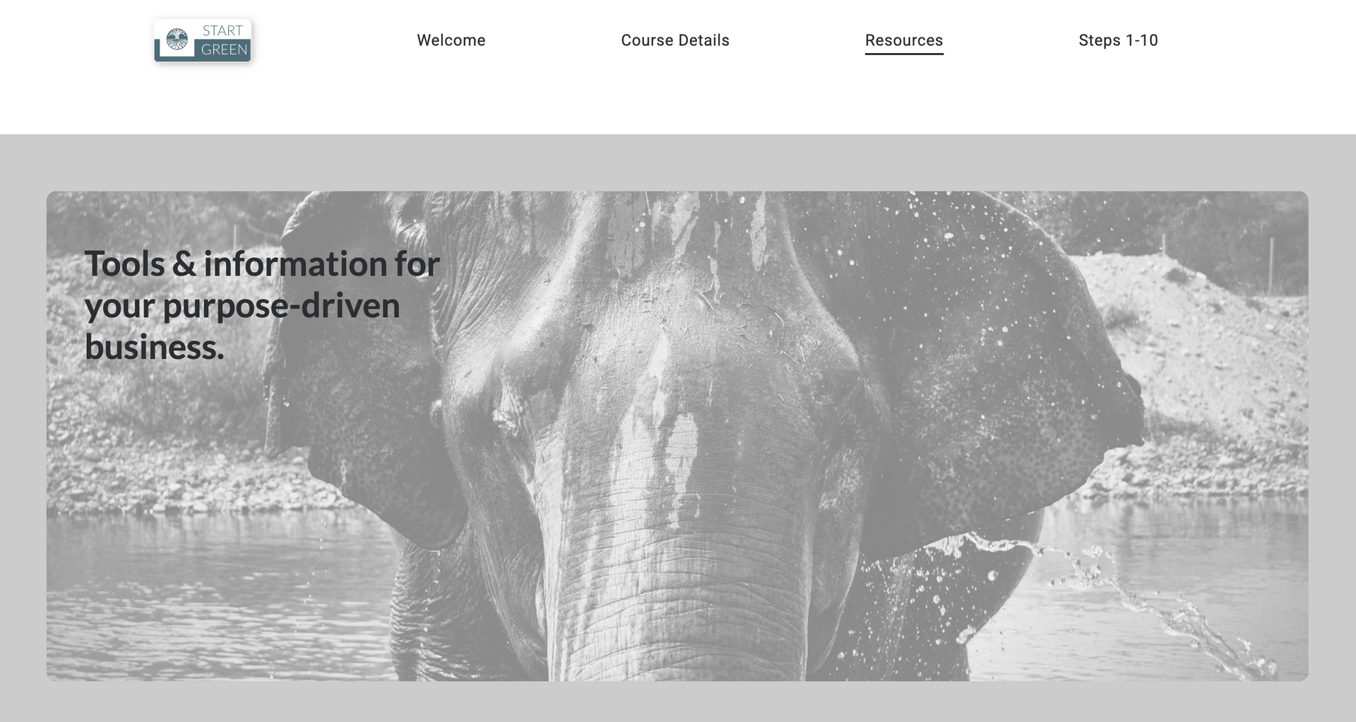 Elephant standing in a rainy landscape with website header and business text overlay