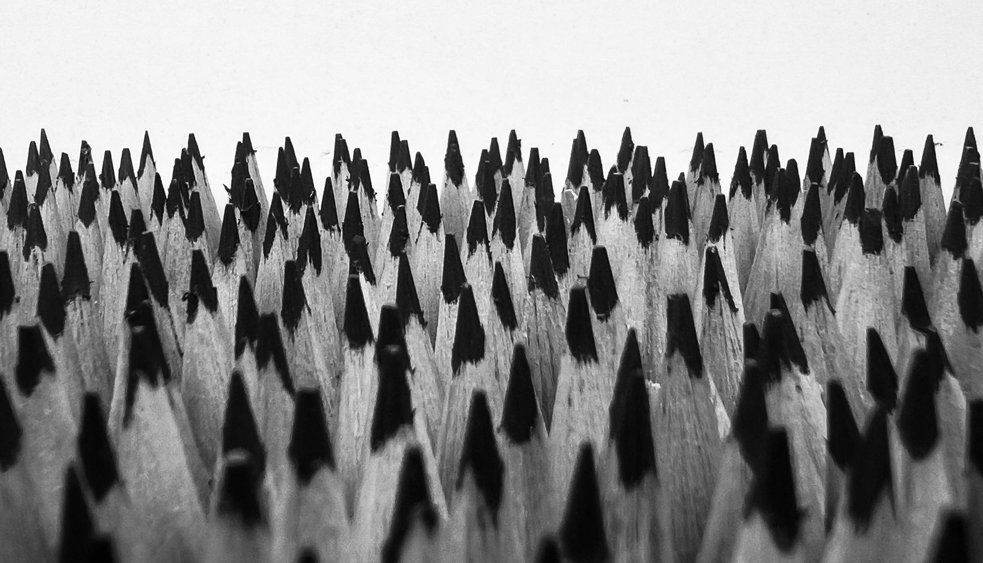 Black-and-white close-up of dense, sharp triangular spikes or bristles forming a textured pattern