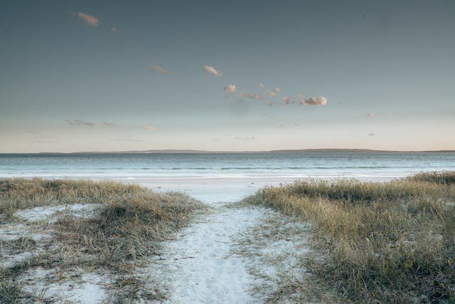 Sandy path through beach grass to a calm shoreline under a pale sky at sunset