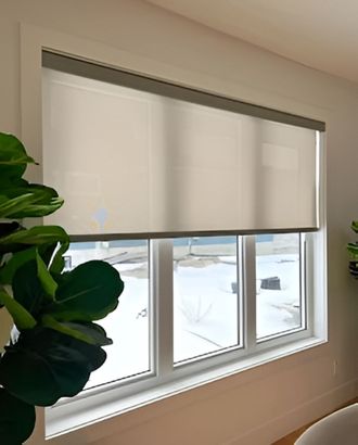 A large window with a plant in front of it